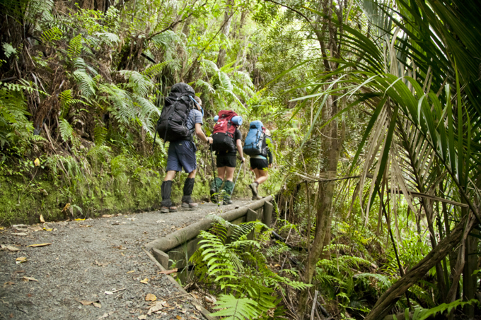 Looking for summer work with a difference (1)