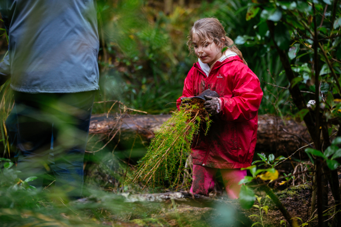 Volunteer and take climate action