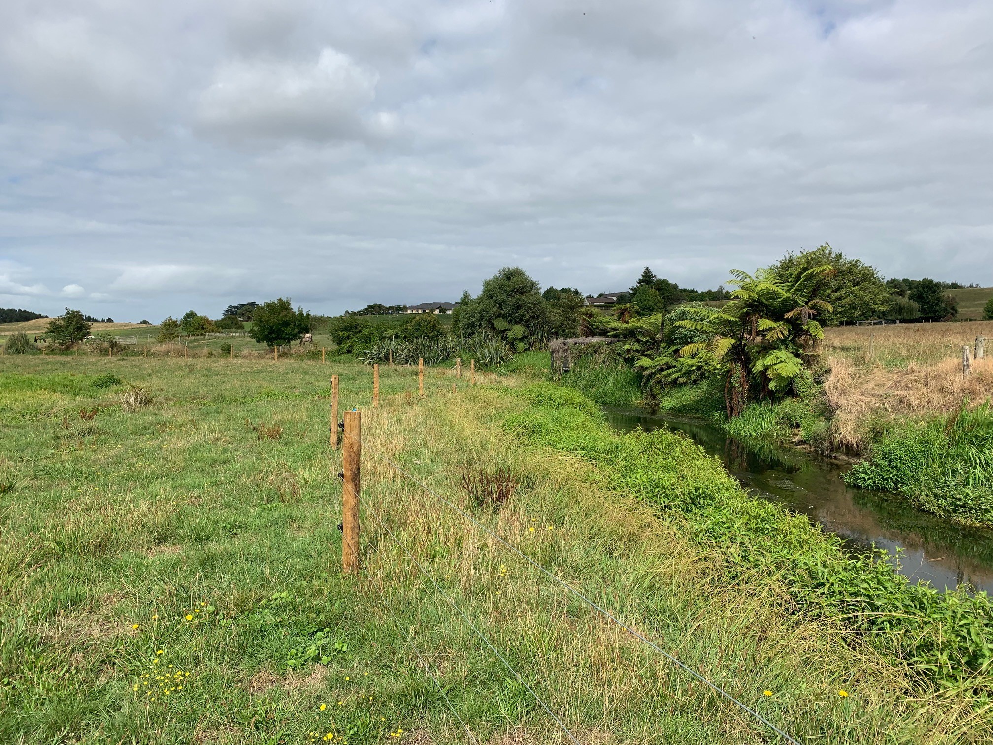 Applications can be made to the fund to support fencing projects to keep stock out of waterways.