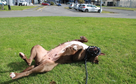 Hilti tile image