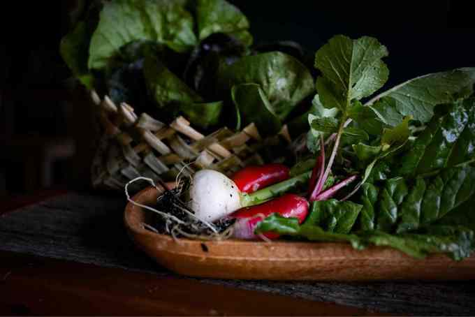 EMC - Bike Maintenance Workshop_sy4ntvag.jpg