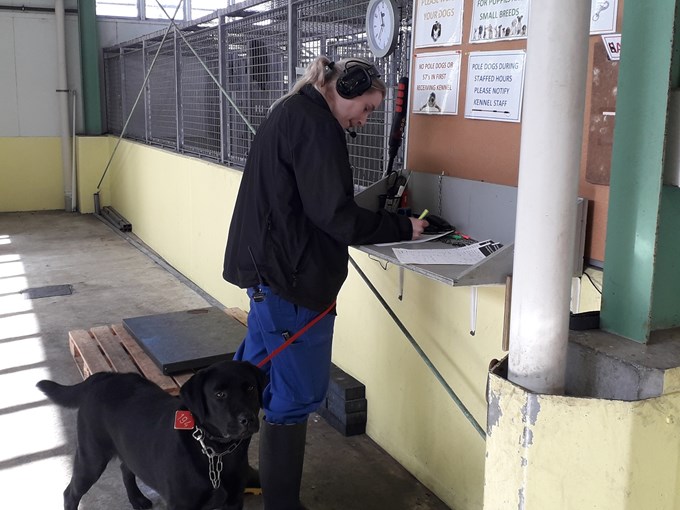 Behind the scenes: no shortage of love at Auckland's animal shelters (4)
