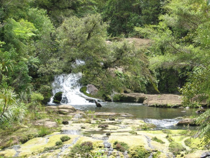 Waitakere Regional Park - waterfall.jpg