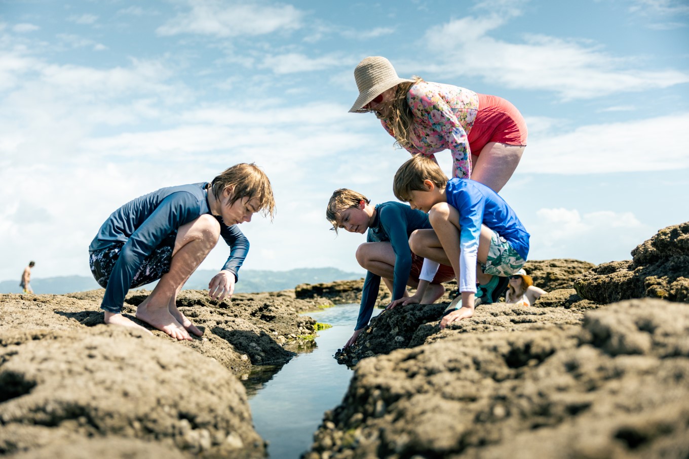 Go rock pooling at Tāwharanui Regional Park and discover mini marine ecosystems - you might even spot an octopus!