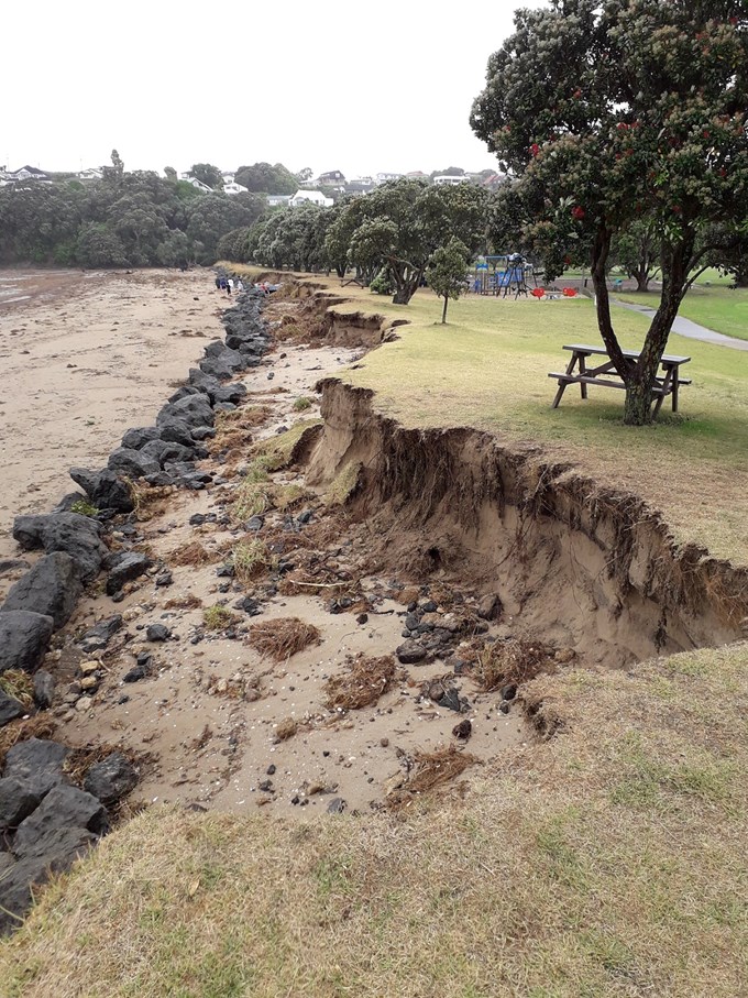 Prediction and planning – coastal erosion in Tāmaki Makaurau (2)