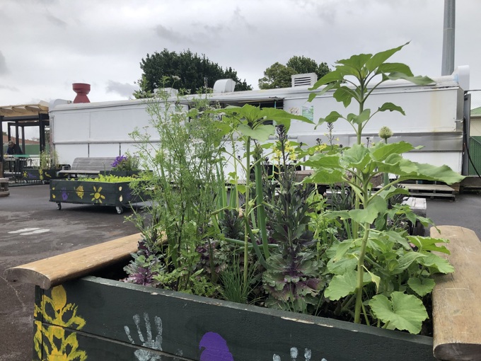 A recipe for success in Papatoetoe