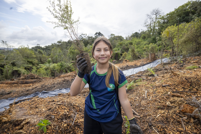 Pasadena planting day 3