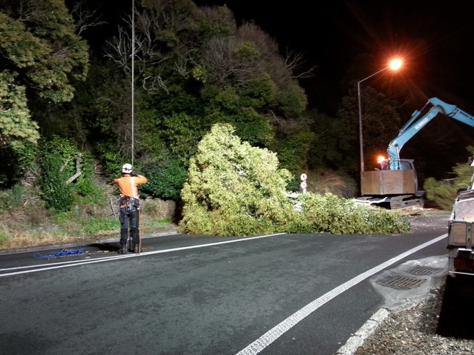 Restoring one of the world’s rarest ecologies 1