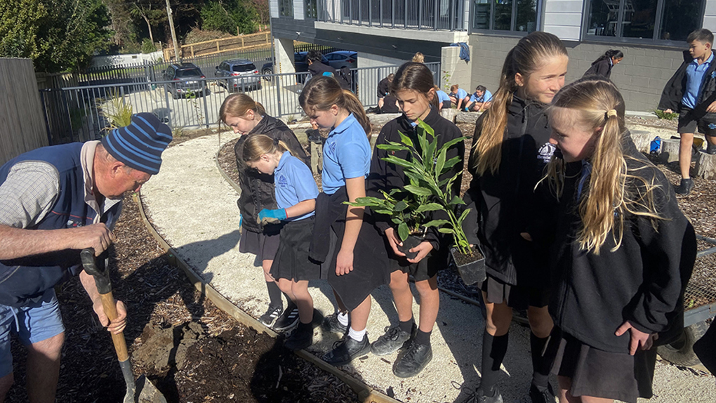 Planting