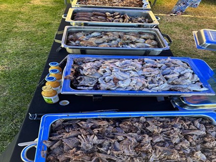 Response 7 Pasifika Day Waiheke Island 3