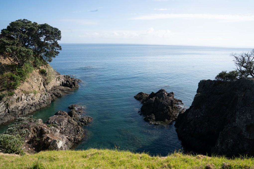 Island Bay , Te Ara Hura image 2