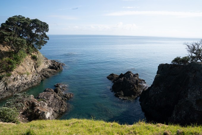 Island Bay , Te Ara Hura image 2