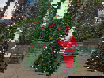 20201217 Tree 04_bxsnx1tp.jpg