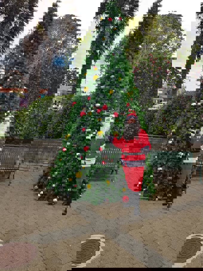 20201217 Tree 04_bxsnx1tp.jpg