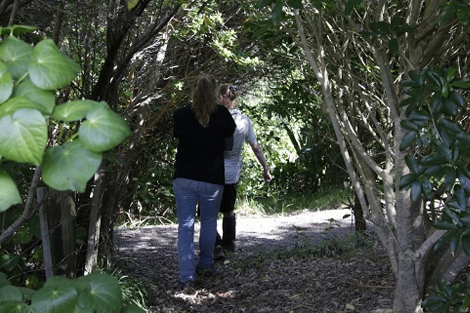 Kiwi release Motutapu 6