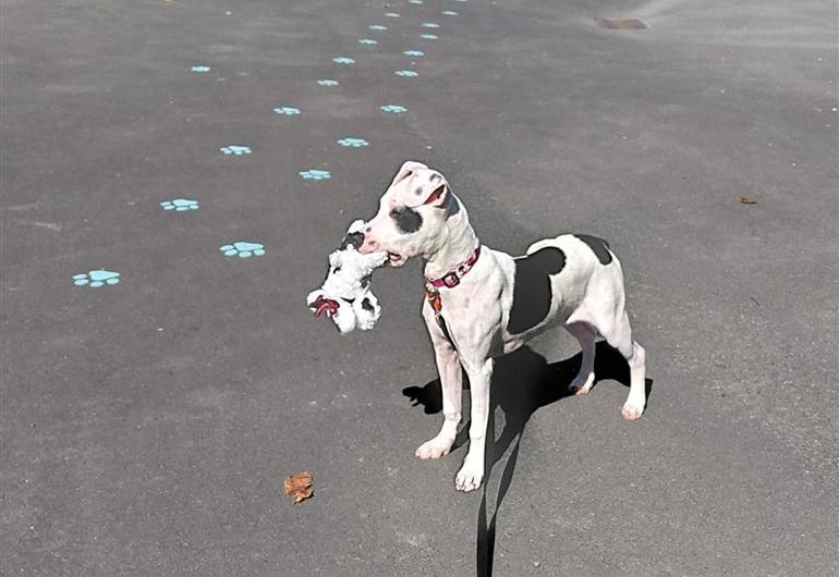 36B13671 5D9e 4085 Bf08 1764Fc8f0b3e