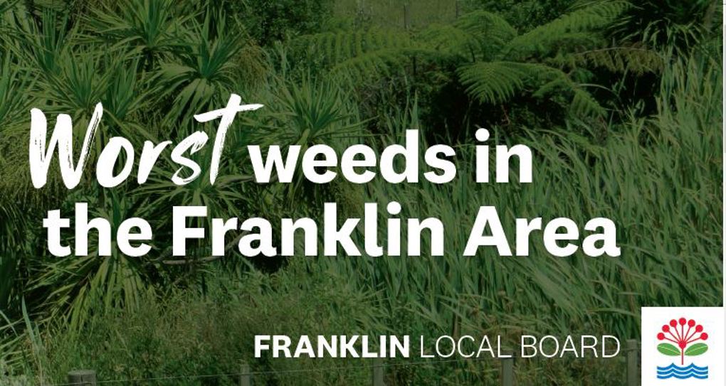 Weeds