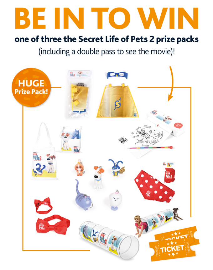 Dog registrations competition film prize