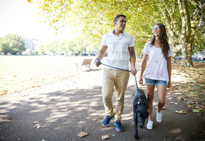 Auckland’s best parks for man’s best friend