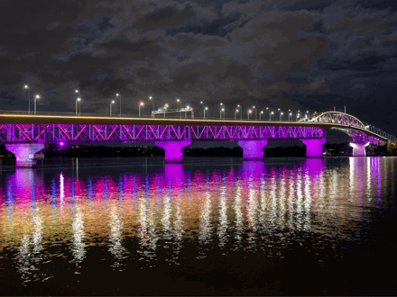 Vector Lights for World of Cultures 2026_OA_stw4okuw.png