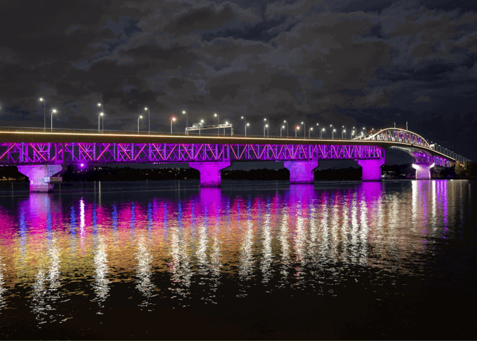 Vector Lights for World of Cultures 2026_OA_stw4okuw.png