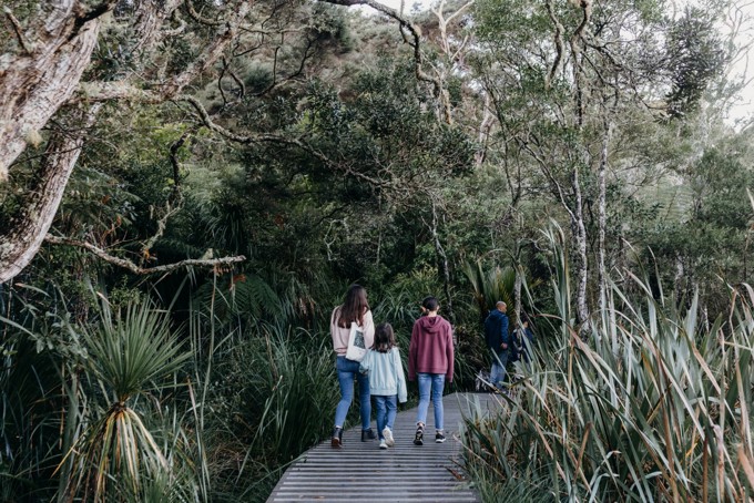 Canopy Feature Image