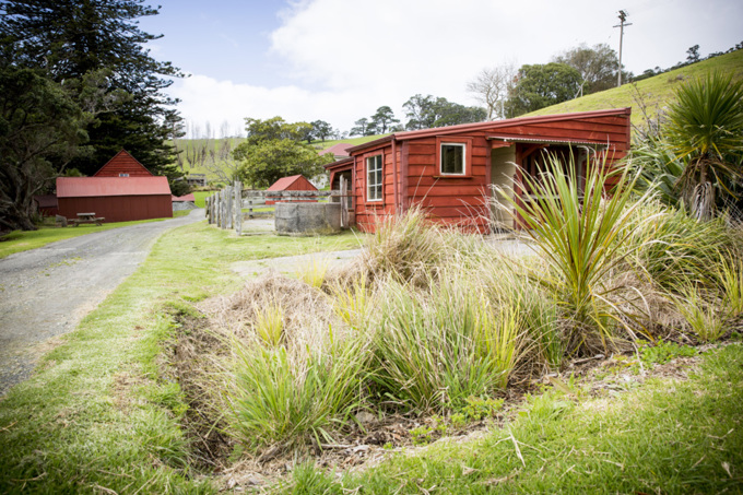 Breathing new life into Ambury Farm Day (5)