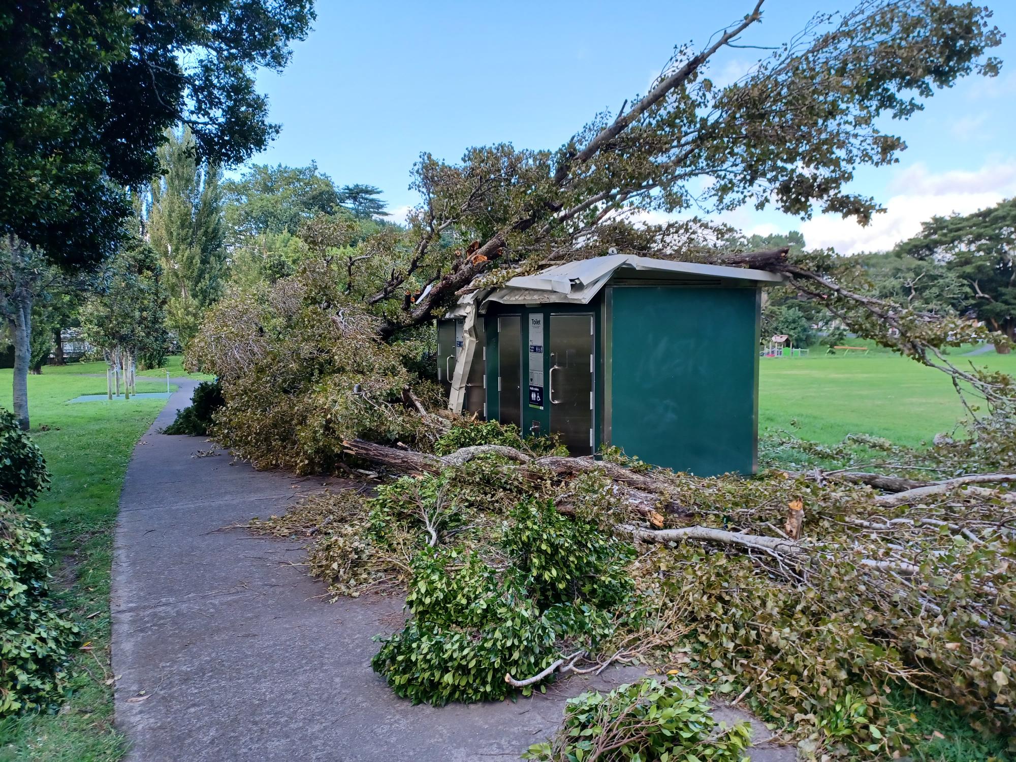 Tree collapses on top of public toilet in Fowlds Park.