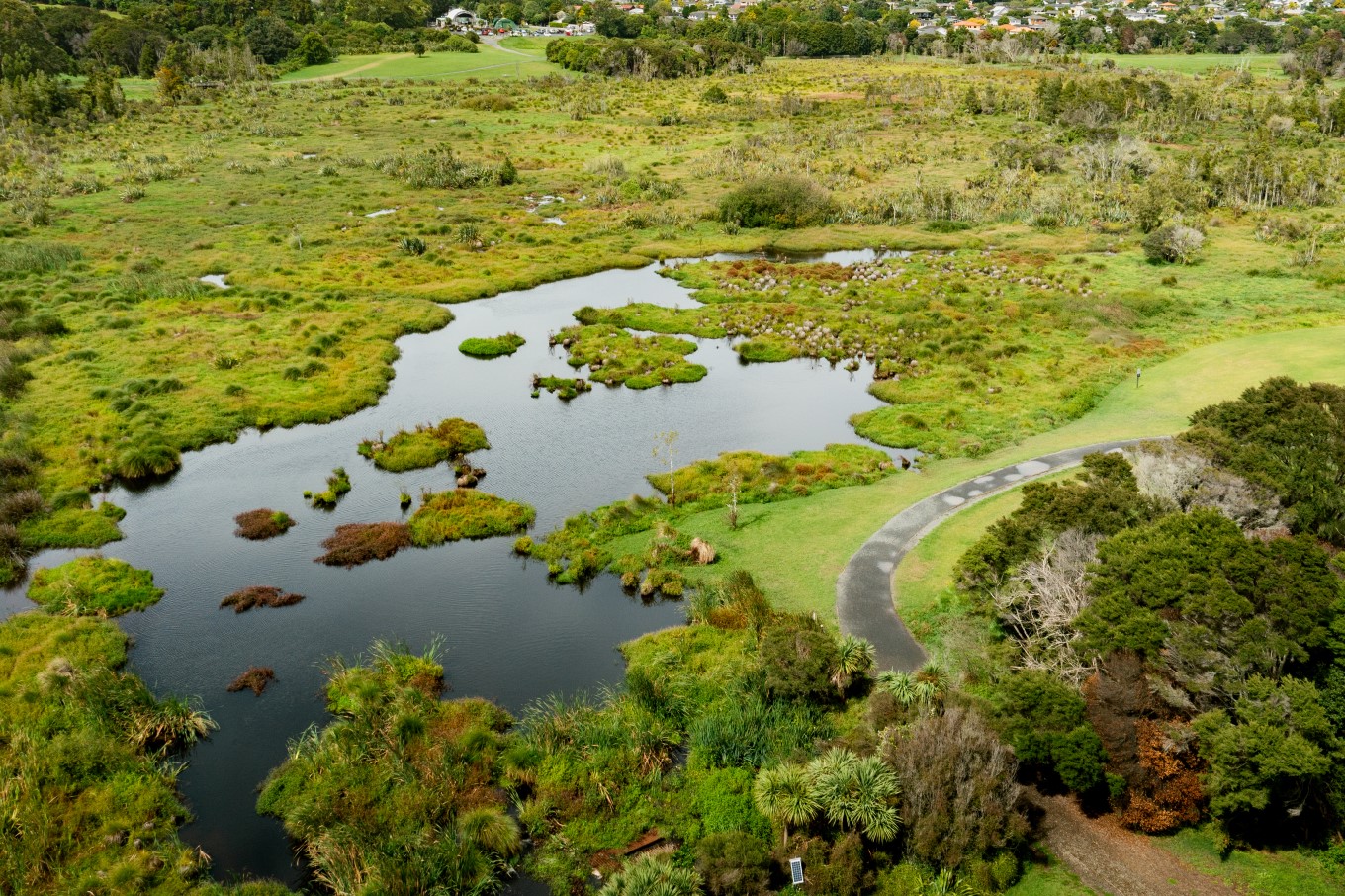 Waiatarua Reserve.