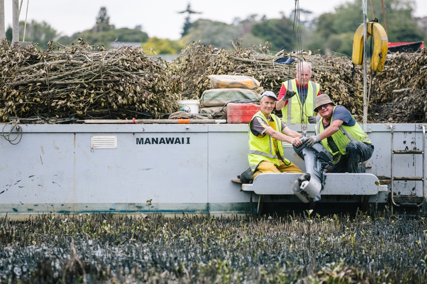 What I love about Waiuku OurAuckland
