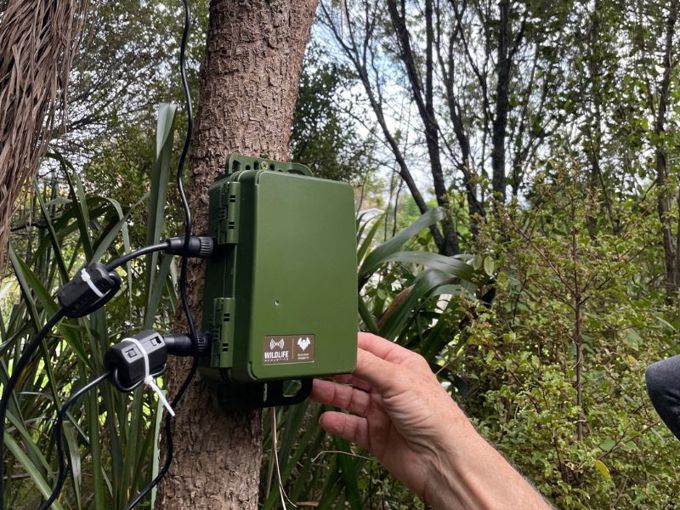 Bat monitor 1200x900_ikw4v0cf.jpg