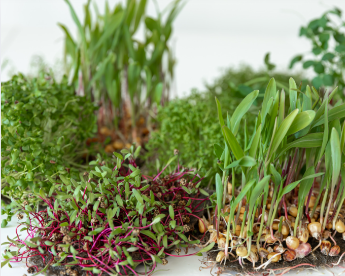 Screenshot 2026-04-08 164520_dnbszveq.png