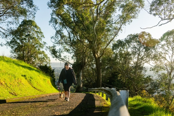 Mt Albert Pathway Image 1