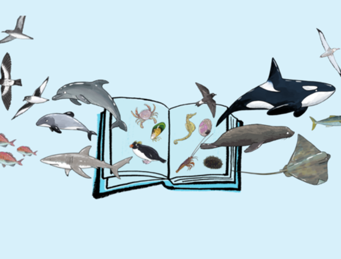 Untitled design (79)_kglqgdrs.png