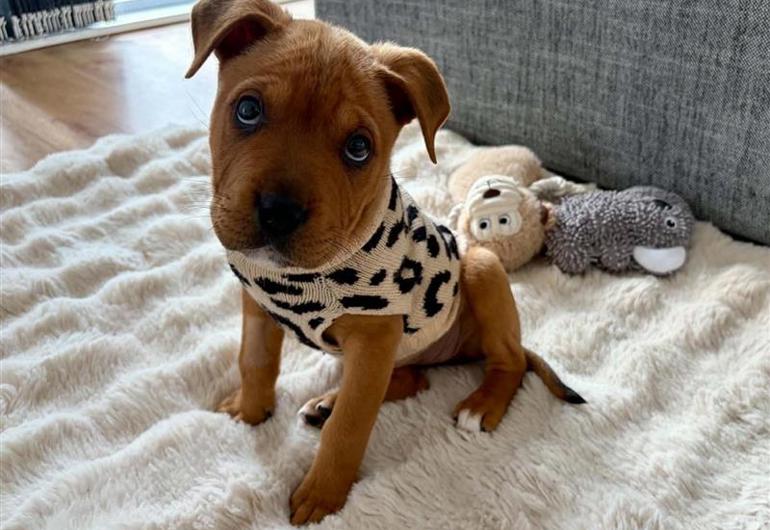 F13c0f2c 8Caf 41C2 8Cbf 7C9b854a1c33