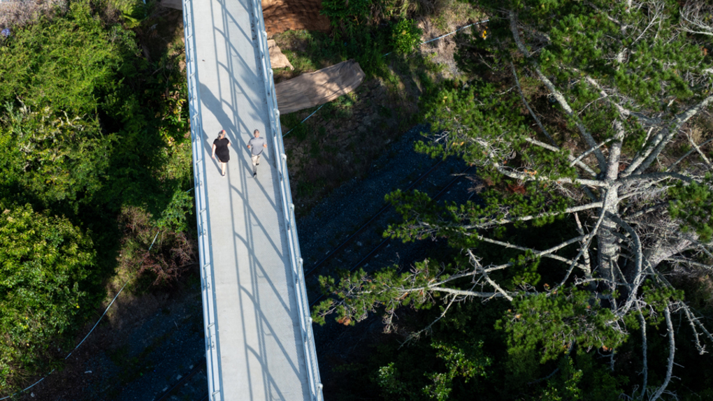 New footbridge opens in Wellsford image 6