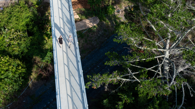 New footbridge opens in Wellsford image 6