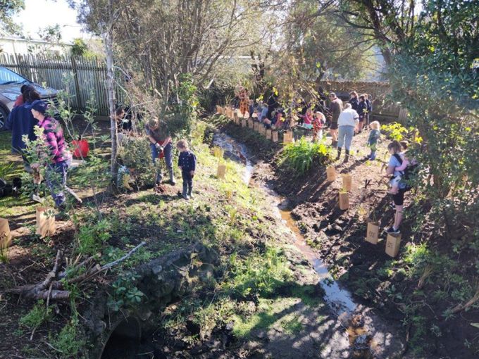 Kaipara Moana Taupaki School 2 1360
