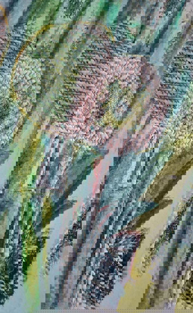 Agata collage making 22 1 2026-min_u2m2momz.jpg