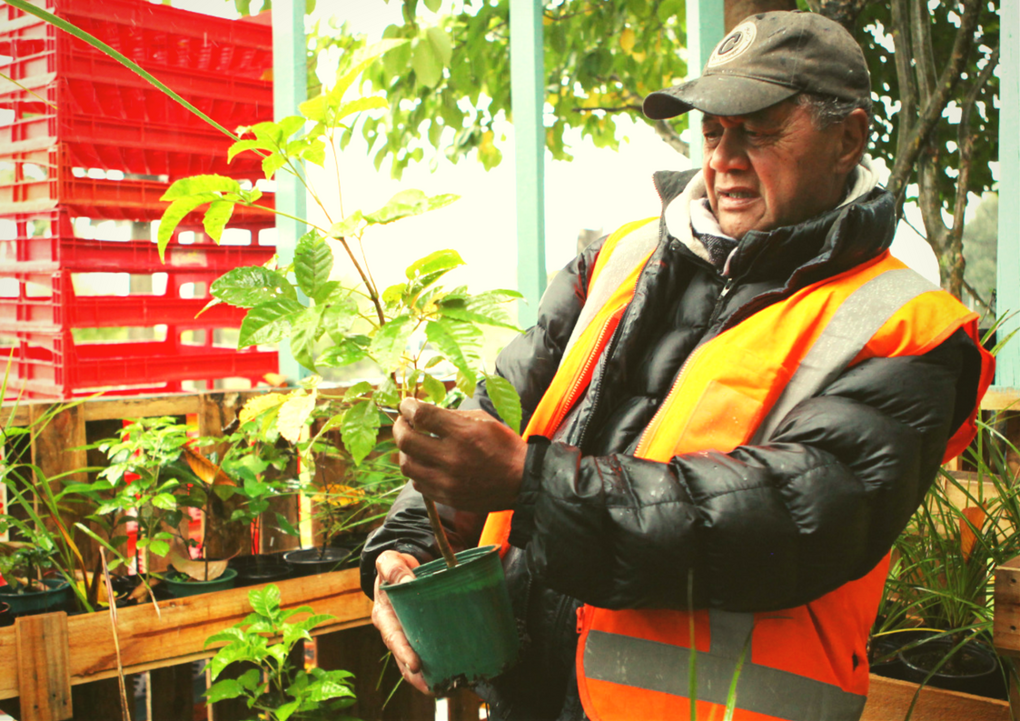 Upcycling initiative goes from strength to strength