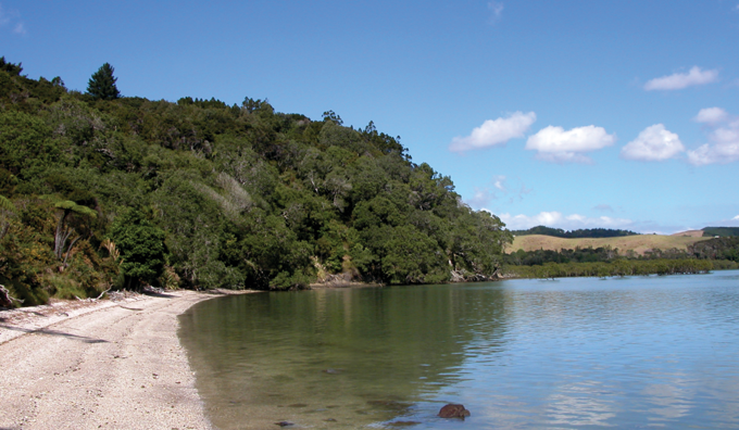 Atiu Creek beach