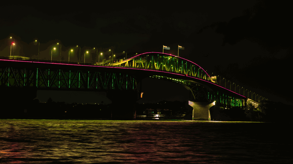 Vector Lights for A Kiwi Christmas 2025_OURAKL_3sd5aql1.png