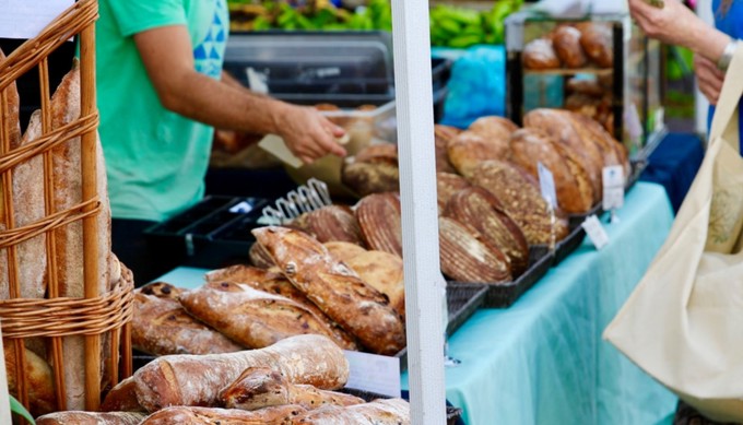 Summer adventures in and around Tāmaki Makaurau 5