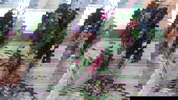 464335534 3651955584949550 3197198387018773673 N