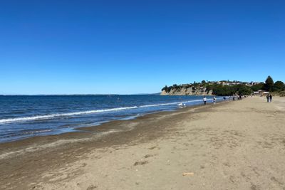 Auckland Council building tsunami resilience