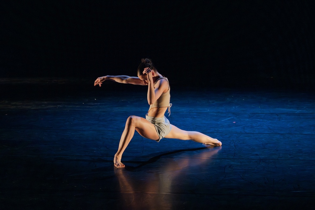 Tendrils of Tomorrow _ SHOWPONY _ Photo_ Stephen A_Court _ HERO_cjddci00.jpg