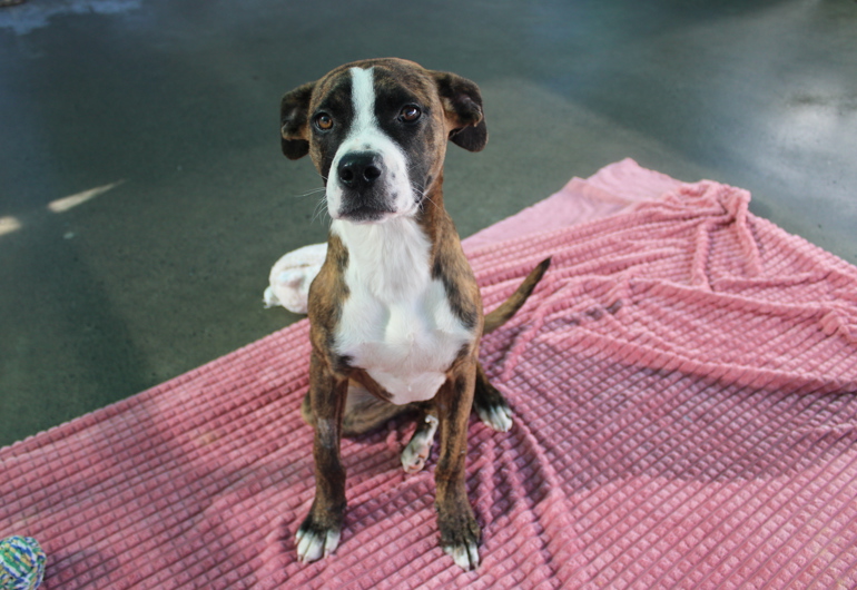 IMG 2235