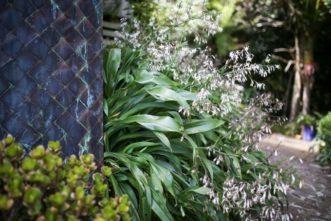 Garden Tours Aotea 2 OA