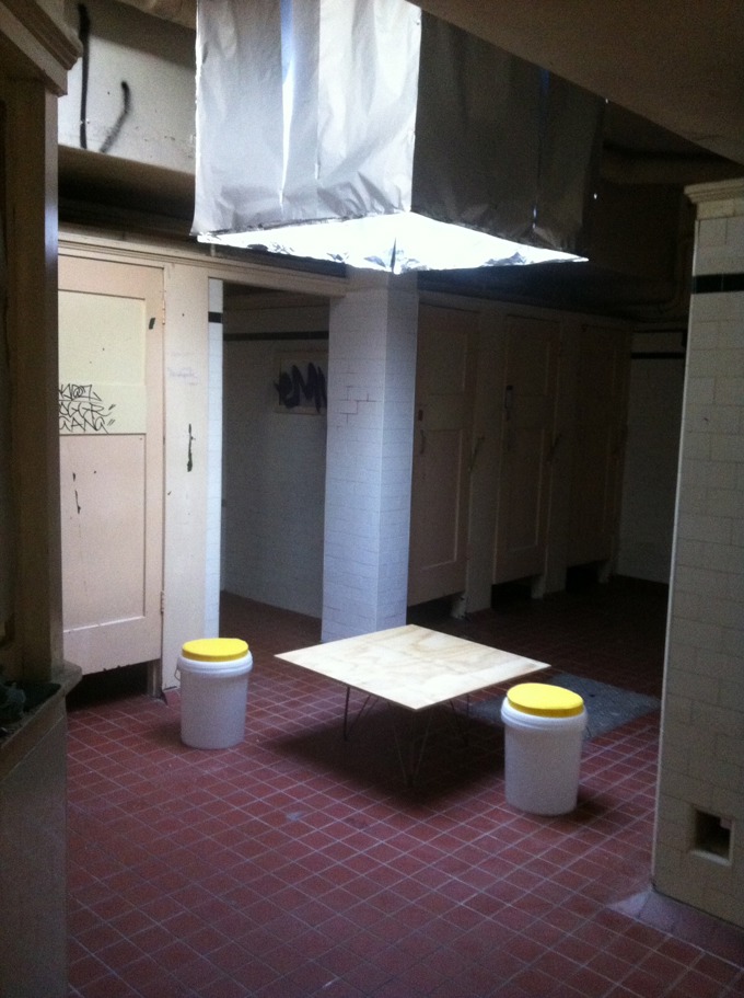 Designer loos on Wellesley 5