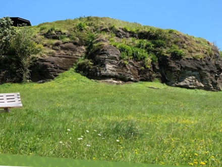 20 Geological Heritage Of Pukekohe
